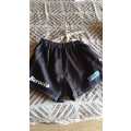 Griquas Match Shorts