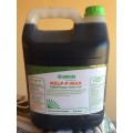 KELP-P-MAX : 5 Liters of Ascophyllum nodosum Kelp Extract that provides 1,250 Liters of Plant food
