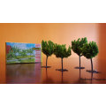Faller Trees No 362 - 2 x Boxes (Job Lot)