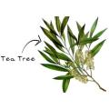 Tea Tree 100% undiluted pure essential oil 100ml