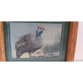 Small Framed Guinea Fowl Print (11cm x 9cm)