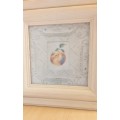 Framed Fruit Print (45cm x 45cm)