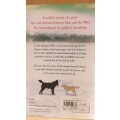 A Wolf Called Romeo - The Wolf who Stole the Heart of an Alaskan Community :Nick Jans (Paperback)