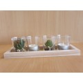 Set of 4 Glass Holders (Glass Tealight Candle Holders with Faux Succulents on a Wooden Tray