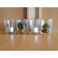 Set of 4 Glass Holders (Glass Tealight Candle Holders with Faux Succulents on a Wooden Tray
