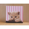Cat Canvas (25cm x 25cm)