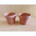 Set of 2 Small Terracotta Plant Pots