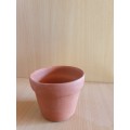 Set of 2 Small Terracotta Plant Pots