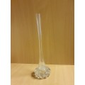 Long Narrow Clear Glass Vase
