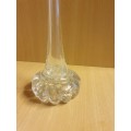 Long Narrow Clear Glass Vase