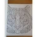 Wild Kingdom Artist`s Colouring Book (31 stress-relieving designs)