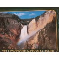 Small Metal Souvenir Tray - Yellowstone National Park  (20cm x 17cm)