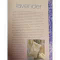 Lavender - Growing and using in the home and garden : Tessa Evelegh (Hardcover)