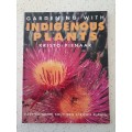 Gardening with Indigenous Plants: Kristo Pienaar (Paperback)