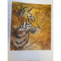 Art Techniques from Pencil to Paint - Texture & Effects: Paul Taggart (Hardcover)