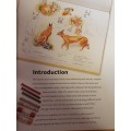 Draw and Sketch Animals - Sketch with confidence in 6 steps or less: David Boys (Paperback)