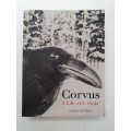 Corvus - A Life with Birds: Esther Woolfson (Paperback)