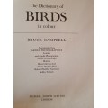 The Dictionary of Birds in Colour : Bruce Campbell (Hardcover)