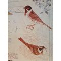 Metal Wall Sign - Birds (35cm x 26cm)