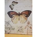 Metal Wall Plaque - Butterflies  (30cm x 30cm)