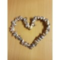 Heart Shaped Seashell Display (24cm x 27cm)