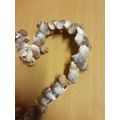 Heart Shaped Seashell Display (24cm x 27cm)