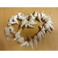 Heart Shaped Seashell Display (25cm x 18cm)
