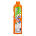 Mr Muscle Toilet Squeeze Forest 500ml