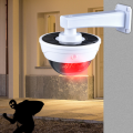 Analog monitoring solar wall lamp home outdoor human body infrared induction sensor fake probe