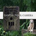 Infrared Night Vision Wildlife Surveillance 720p Digital Waterproof Hunting Tracking Camera