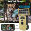720P Hunting Tracking Camera Night Vision Sports Mini WiFi Outdoor Wildlife Monitoring