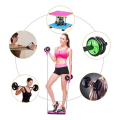 Multifunctional Abdominal Wheel Sports Core Roller Exercise Equipment