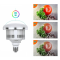 Photographic Lighting LED E27 Bulb with Remote Control 85W