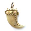 ANTIQUE TIGER CLAW PENDANT MOUNTED IN ETCHED YELLOW AND ROSE GOLD