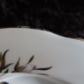 Royal Albert `Queens Messenger` 5 x Soup Plates.