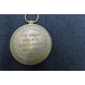 The Victory Medal (The Great War for Civilization 1914 - 1919)