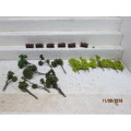 HO SCALE : ASSORTED TREES & SHRUBBERY  - LOT 489W