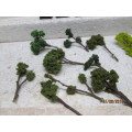 HO SCALE : ASSORTED TREES & SHRUBBERY  - LOT 489W