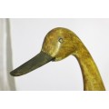 Driftwood duck - A stunning piece!! - Bid Now!!!