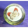 Glass paperweight with a butterfly - Beautiful!! - Bid Now!!!