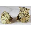Pair of Owls - Wood and Paper Mache - Beautiful!! - Bid Now!