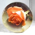 Vintage Beacon cake tin - Rose motif - Giveaway price - Bid Now!