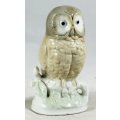 Porcelain Owl on Tree Stump - Gorgeous! - Bid Now!!!