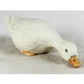 Small Duck - Grazing - Gorgeous! - Bid Now!!!