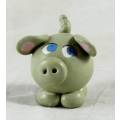 Miniature Pig with Blue Eyes - Gorgeous! - Bid Now!!!