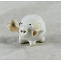 Miniature White Pig with Big Ears - Gorgeous! - Bid Now!!!