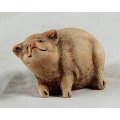 Fat Grinning Pig - Gorgeous! - Bid Now!!!