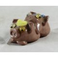 Miniature Mating Pigs - Gorgeous! - Bid Now!!!