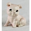 Cute Pig Looking Up - Plastic - Gorgeous! - Bid Now!!!