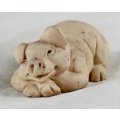 Pig Laying Down and Peaking - Gorgeous! - Bid Now!!!